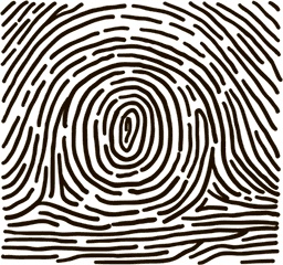 Иллюстрация к книге — 5 наших чувств для здоровой и долгой жизни. Практическое руководство [i_024.jpg]