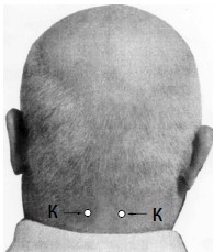 Иллюстрация к книге — Как улучшить зрение, когда тебе за... [i_028.jpg]