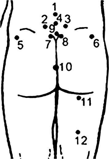 Иллюстрация к книге — Пиявки. Домашняя гирудотерапия [i_002.jpg]