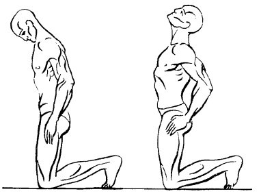 Иллюстрация к книге — Похудеть может каждый [i_006.jpg]