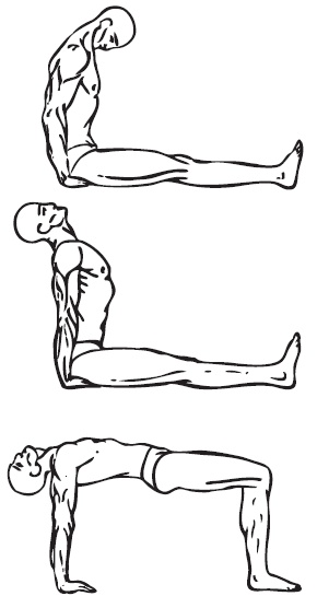 Иллюстрация к книге — Похудеть может каждый [i_007.jpg]
