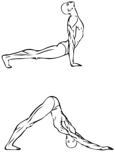 Иллюстрация к книге — Похудеть может каждый [i_008.jpg]