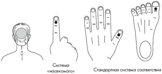 Иллюстрация к книге — Су-Джок. Самодиагностика и лечение [Autogen_eBook_id102.jpg]