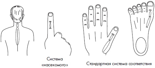 Иллюстрация к книге — Су-Джок. Самодиагностика и лечение [Autogen_eBook_id103.jpg]