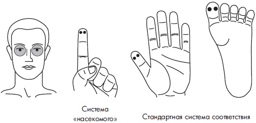 Иллюстрация к книге — Су-Джок. Самодиагностика и лечение [Autogen_eBook_id104.jpg]