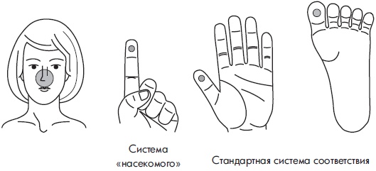 Иллюстрация к книге — Су-Джок. Самодиагностика и лечение [Autogen_eBook_id105.jpg]