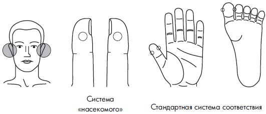 Иллюстрация к книге — Су-Джок. Самодиагностика и лечение [Autogen_eBook_id106.jpg]