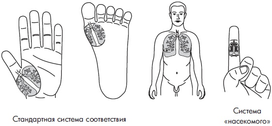 Иллюстрация к книге — Су-Джок. Самодиагностика и лечение [Autogen_eBook_id109.jpg]