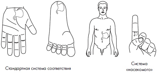 Иллюстрация к книге — Су-Джок. Самодиагностика и лечение [Autogen_eBook_id111.jpg]