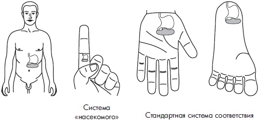 Иллюстрация к книге — Су-Джок. Самодиагностика и лечение [Autogen_eBook_id112.jpg]