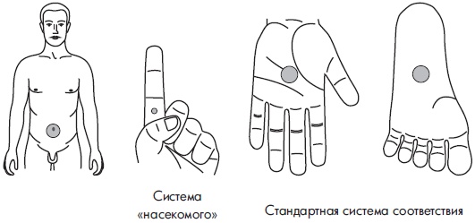 Иллюстрация к книге — Су-Джок. Самодиагностика и лечение [Autogen_eBook_id114.jpg]