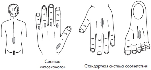 Иллюстрация к книге — Су-Джок. Самодиагностика и лечение [Autogen_eBook_id118.jpg]