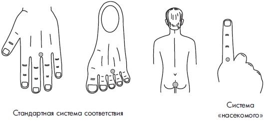 Иллюстрация к книге — Су-Джок. Самодиагностика и лечение [Autogen_eBook_id119.jpg]