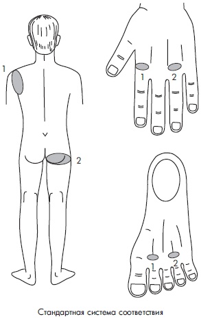 Иллюстрация к книге — Су-Джок. Самодиагностика и лечение [Autogen_eBook_id121.jpg]