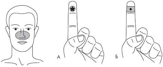 Иллюстрация к книге — Су-Джок. Самодиагностика и лечение [Autogen_eBook_id31.jpg]