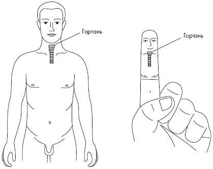 Иллюстрация к книге — Су-Джок. Самодиагностика и лечение [Autogen_eBook_id32.jpg]