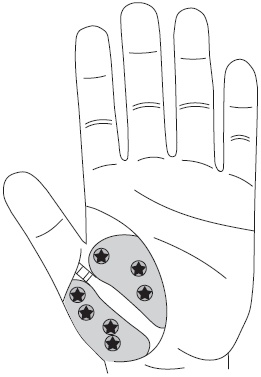 Иллюстрация к книге — Су-Джок. Самодиагностика и лечение [Autogen_eBook_id43.jpg]