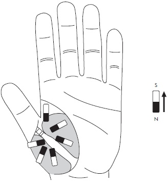 Иллюстрация к книге — Су-Джок. Самодиагностика и лечение [Autogen_eBook_id44.jpg]
