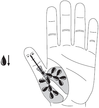 Иллюстрация к книге — Су-Джок. Самодиагностика и лечение [Autogen_eBook_id51.jpg]