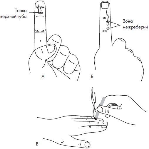 Иллюстрация к книге — Су-Джок. Самодиагностика и лечение [Autogen_eBook_id55.jpg]
