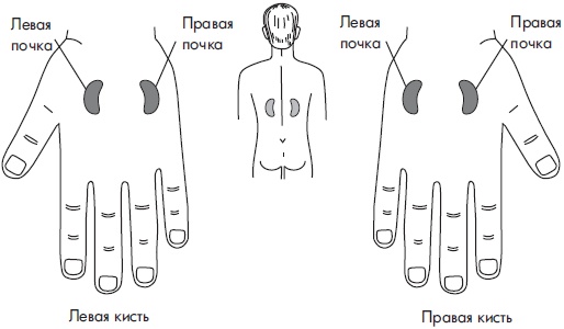 Иллюстрация к книге — Су-Джок. Самодиагностика и лечение [Autogen_eBook_id56.jpg]