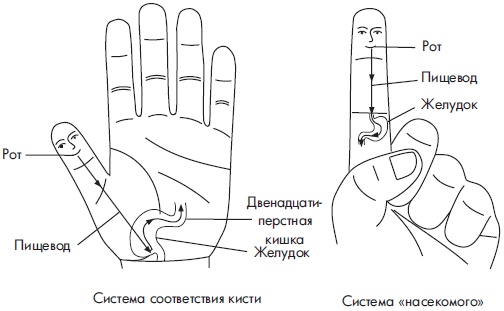 Иллюстрация к книге — Су-Джок. Самодиагностика и лечение [Autogen_eBook_id60.jpg]