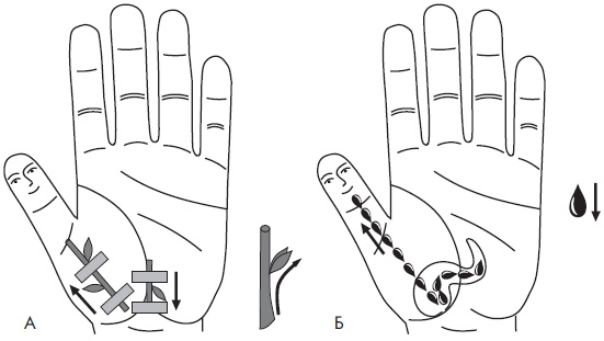 Иллюстрация к книге — Су-Джок. Самодиагностика и лечение [Autogen_eBook_id64.jpg]