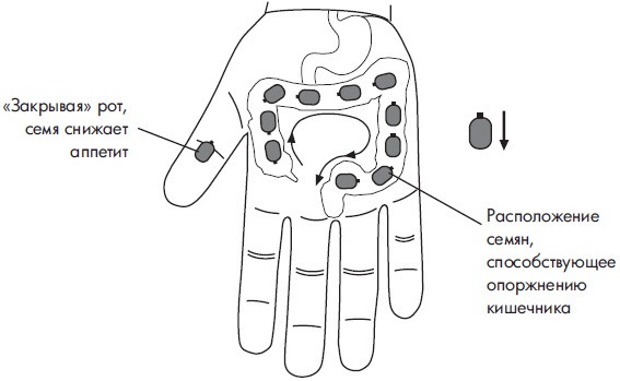Иллюстрация к книге — Су-Джок. Самодиагностика и лечение [Autogen_eBook_id66.jpg]