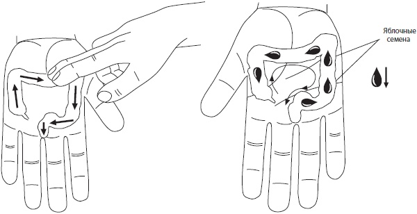 Иллюстрация к книге — Су-Джок. Самодиагностика и лечение [Autogen_eBook_id68.jpg]