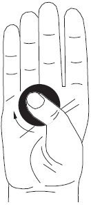 Иллюстрация к книге — Су-Джок. Самодиагностика и лечение [Autogen_eBook_id70.jpg]