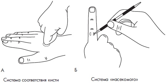 Иллюстрация к книге — Су-Джок. Самодиагностика и лечение [Autogen_eBook_id75.jpg]