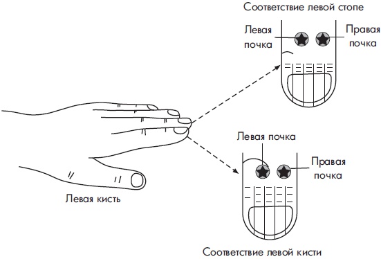Иллюстрация к книге — Су-Джок. Самодиагностика и лечение [Autogen_eBook_id77.jpg]