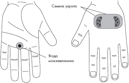 Иллюстрация к книге — Су-Джок. Самодиагностика и лечение [Autogen_eBook_id84.jpg]