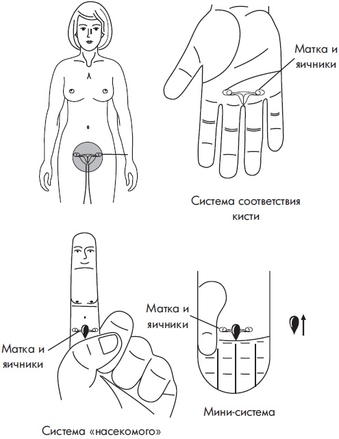 Иллюстрация к книге — Су-Джок. Самодиагностика и лечение [Autogen_eBook_id88.jpg]