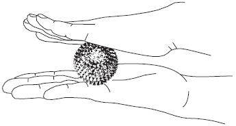 Иллюстрация к книге — Су-Джок. Самодиагностика и лечение [Autogen_eBook_id89.jpg]