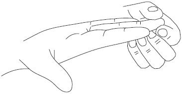 Иллюстрация к книге — Су-Джок. Самодиагностика и лечение [Autogen_eBook_id91.jpg]