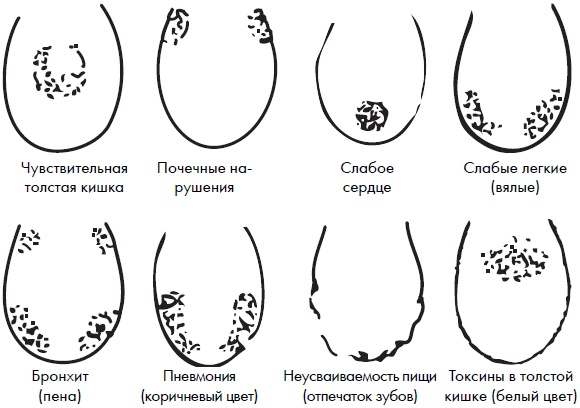 Иллюстрация к книге — Су-Джок. Самодиагностика и лечение [Autogen_eBook_id97.jpg]