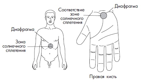 Иллюстрация к книге — Шунгит, су-джок, вода - для здоровья тех, кому за... [Autogen_eBook_id103.jpg]