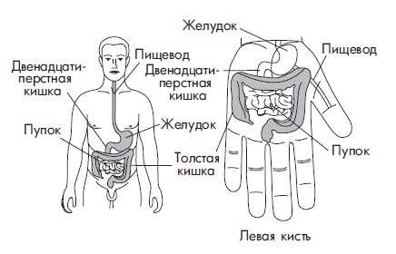 Иллюстрация к книге — Шунгит, су-джок, вода - для здоровья тех, кому за... [Autogen_eBook_id105.jpg]