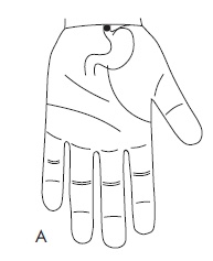 Иллюстрация к книге — Шунгит, су-джок, вода - для здоровья тех, кому за... [Autogen_eBook_id106.jpg]