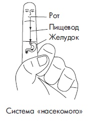 Иллюстрация к книге — Шунгит, су-джок, вода - для здоровья тех, кому за... [Autogen_eBook_id109.jpg]