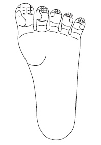 Иллюстрация к книге — Шунгит, су-джок, вода - для здоровья тех, кому за... [Autogen_eBook_id11.jpg]