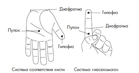 Иллюстрация к книге — Шунгит, су-джок, вода - для здоровья тех, кому за... [Autogen_eBook_id112.jpg]