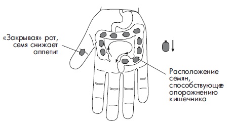 Иллюстрация к книге — Шунгит, су-джок, вода - для здоровья тех, кому за... [Autogen_eBook_id113.jpg]