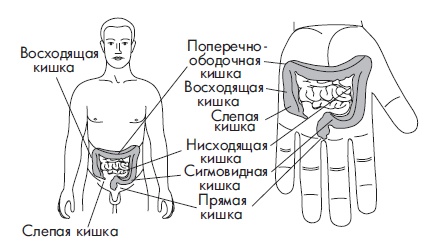 Иллюстрация к книге — Шунгит, су-джок, вода - для здоровья тех, кому за... [Autogen_eBook_id114.jpg]