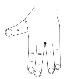 Иллюстрация к книге — Шунгит, су-джок, вода - для здоровья тех, кому за... [Autogen_eBook_id117.jpg]