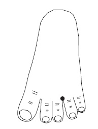 Иллюстрация к книге — Шунгит, су-джок, вода - для здоровья тех, кому за... [Autogen_eBook_id118.jpg]