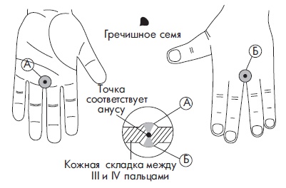 Иллюстрация к книге — Шунгит, су-джок, вода - для здоровья тех, кому за... [Autogen_eBook_id119.jpg]