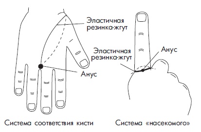 Иллюстрация к книге — Шунгит, су-джок, вода - для здоровья тех, кому за... [Autogen_eBook_id120.jpg]