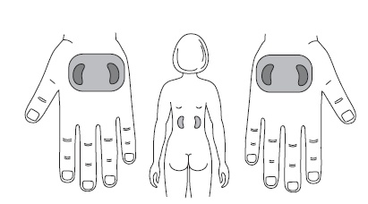Иллюстрация к книге — Шунгит, су-джок, вода - для здоровья тех, кому за... [Autogen_eBook_id127.jpg]